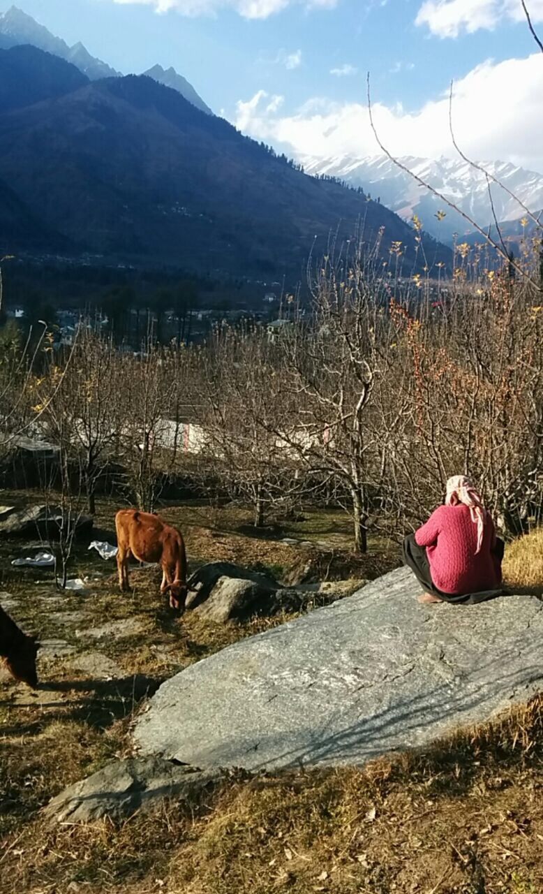 Photo of Dining with the moon and stars| Manali and Kasol 11/12 by Aditya Chhaparwal