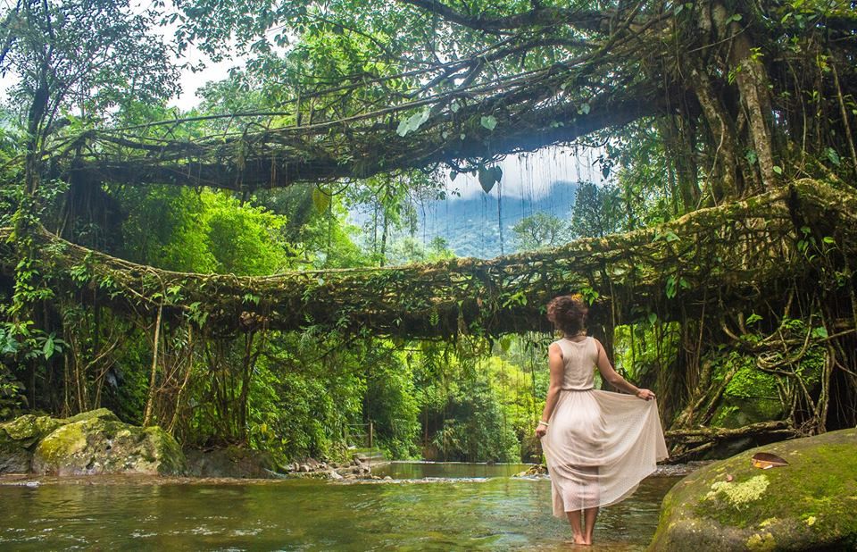 Photo of The Ultimate Guide To Cherrapunji: Discover Spectacular Waterfalls & Living Root Bridges 1/3 by Jili M. Wanderess
