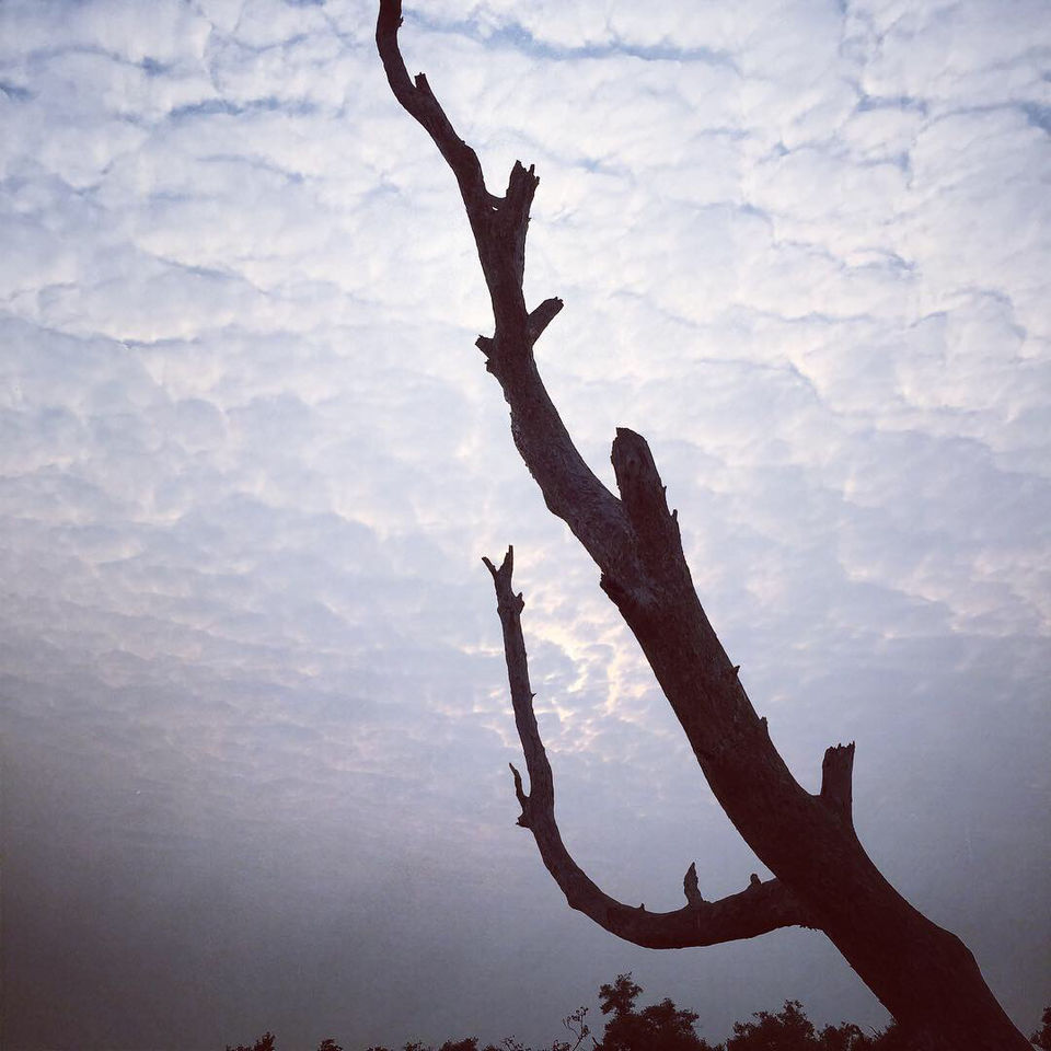 Photo of Bichitrapur - Taste Of Tranquility by Aritra Sardar