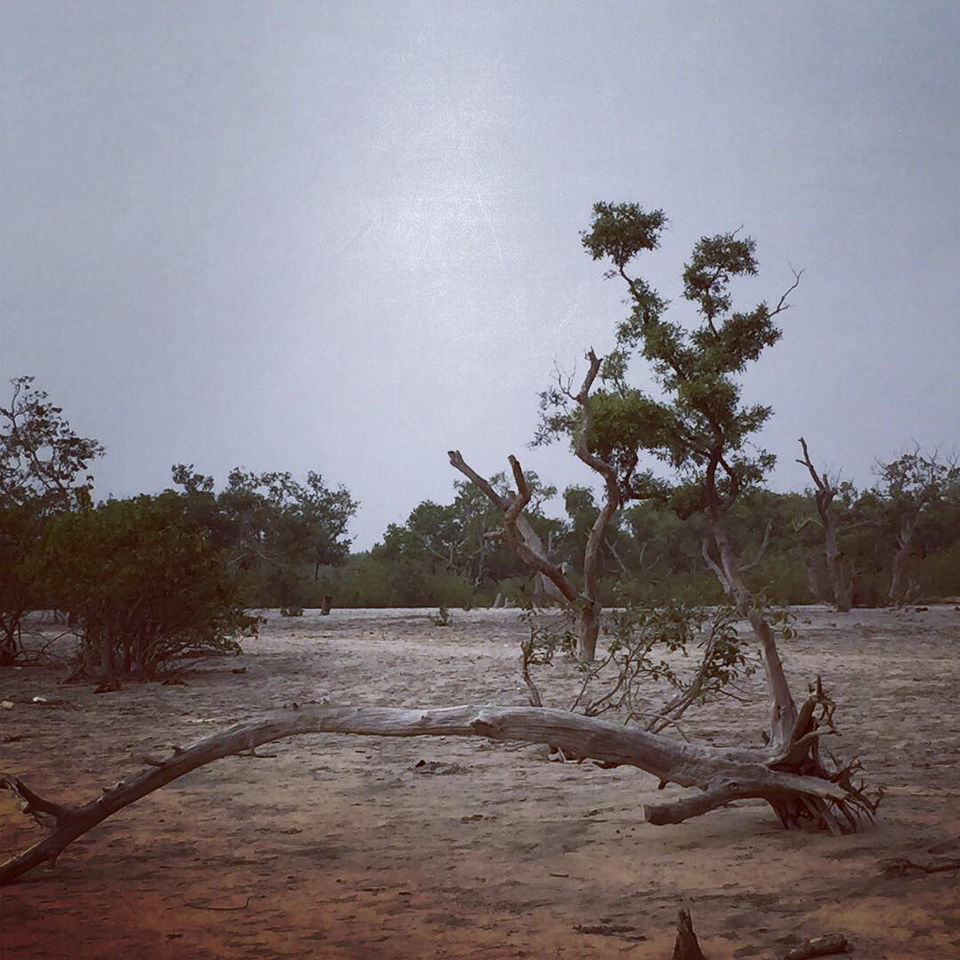 Photo of Bichitrapur - Taste Of Tranquility by Aritra Sardar
