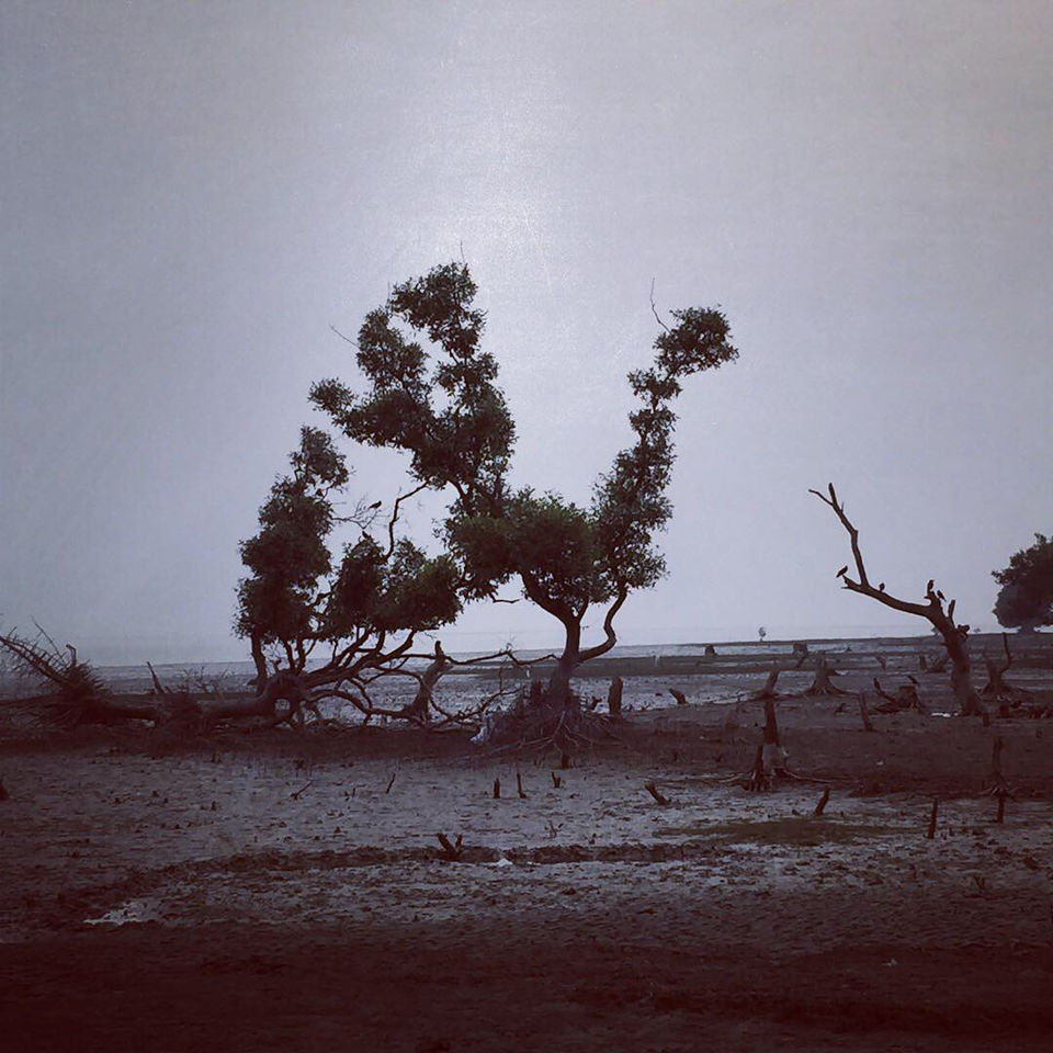 Photo of Bichitrapur - Taste Of Tranquility by Aritra Sardar
