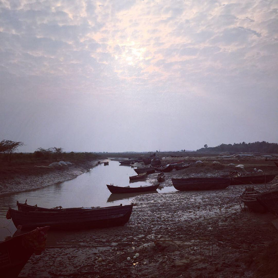 Photo of Bichitrapur - Taste Of Tranquility by Aritra Sardar