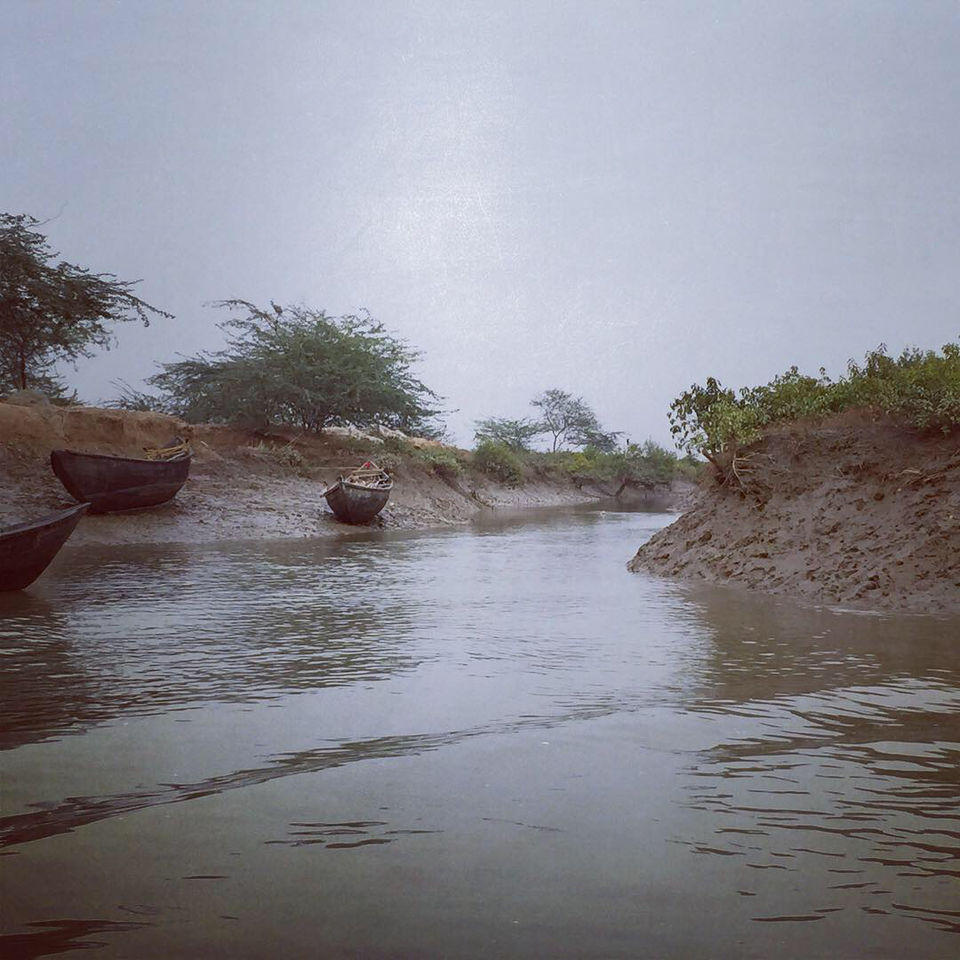 Photo of Bichitrapur - Taste Of Tranquility by Aritra Sardar
