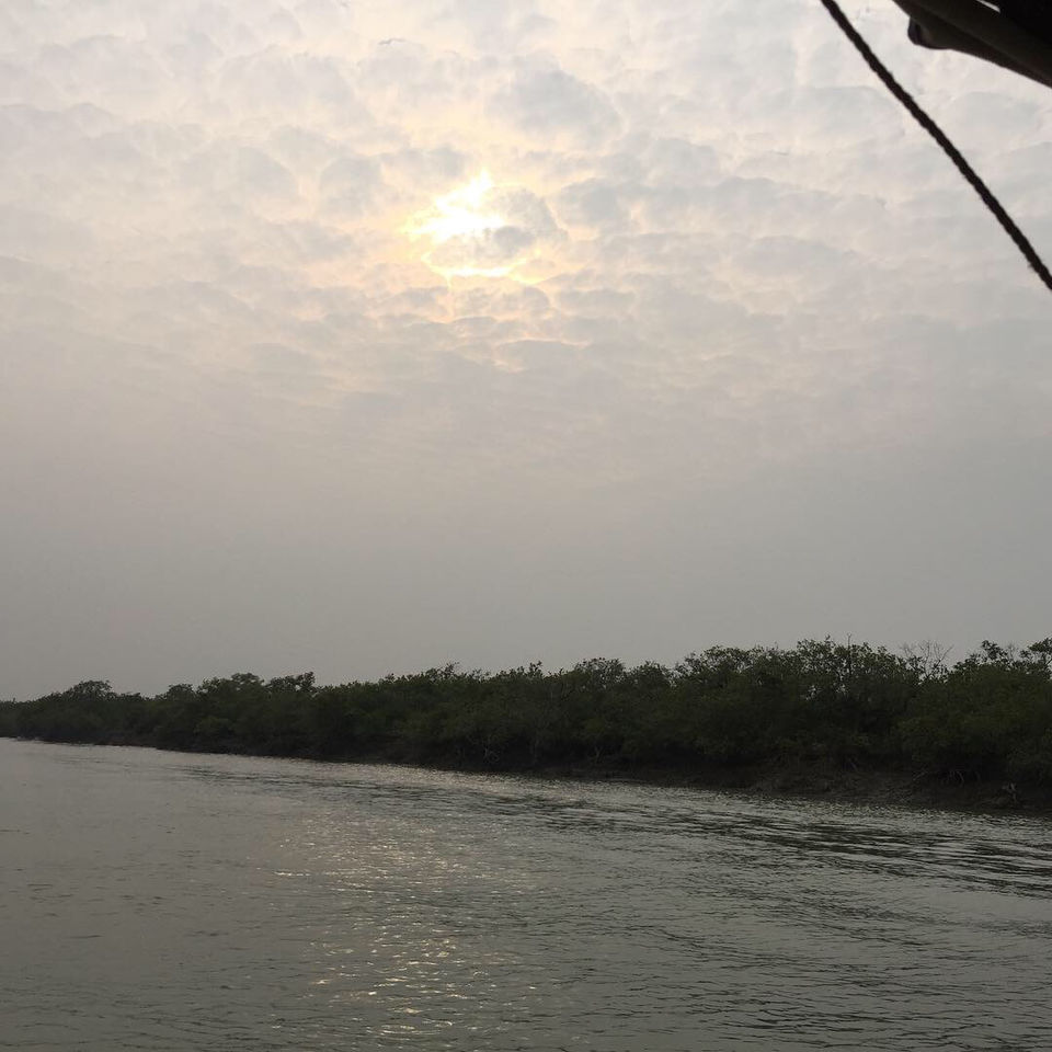 Photo of Bichitrapur - Taste Of Tranquility by Aritra Sardar