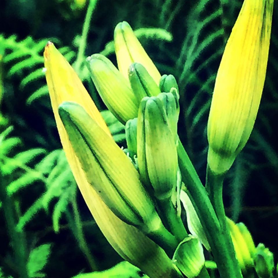 Photo of Kolkata, West Bengal, India by Aritra Sardar