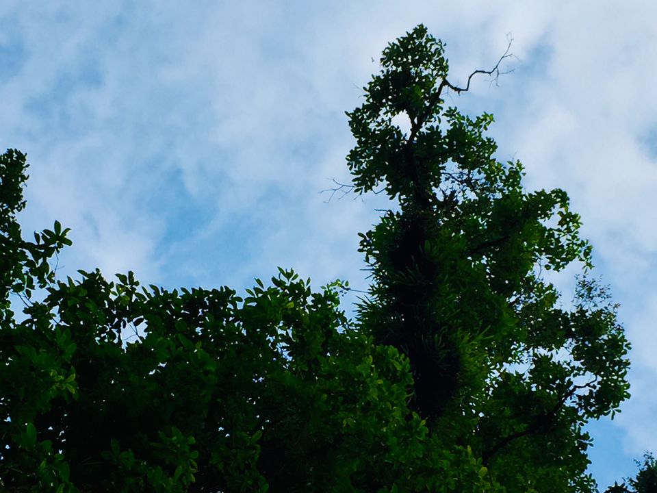 Photo of Kolkata, West Bengal, India by Aritra Sardar