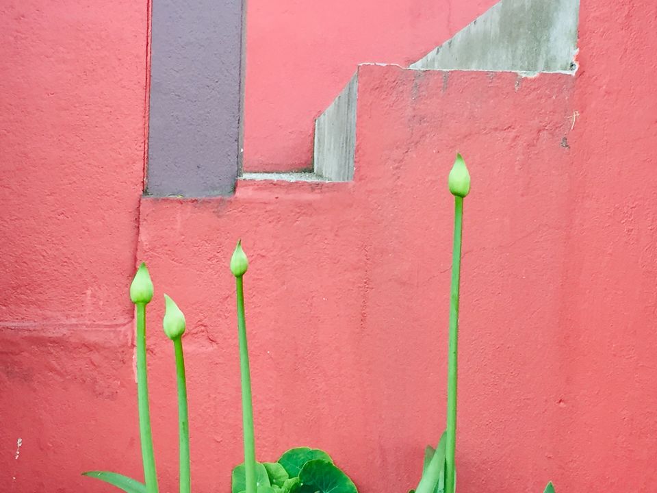 Photo of Kolkata, West Bengal, India by Aritra Sardar