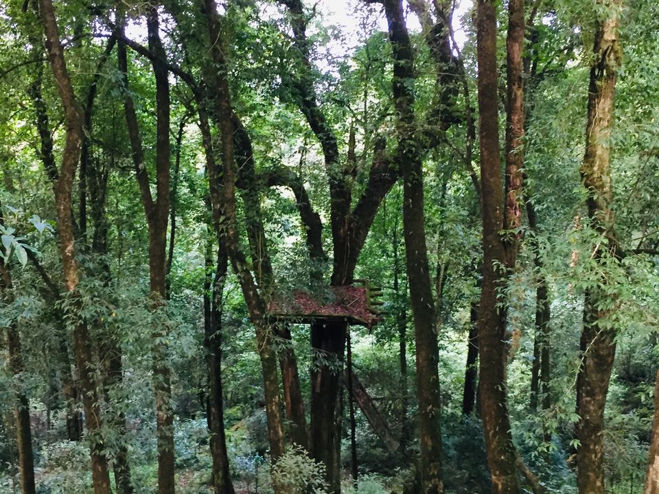 Photo of Kolkata, West Bengal, India by Aritra Sardar