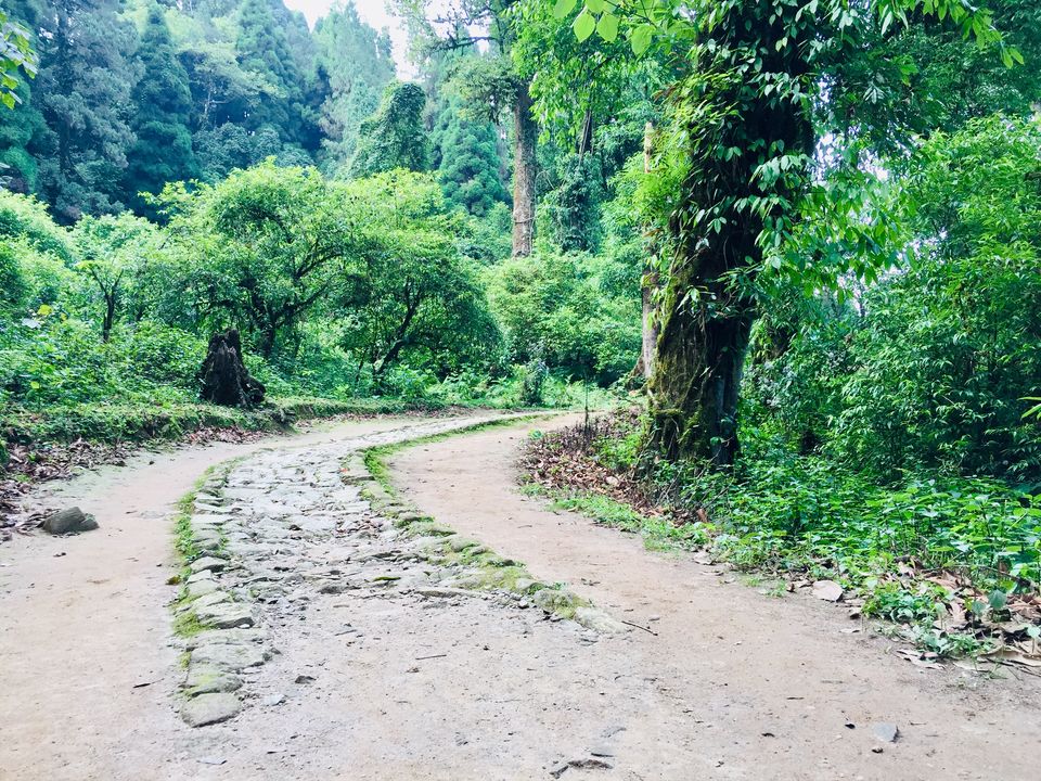 Photo of Kolkata, West Bengal, India by Aritra Sardar