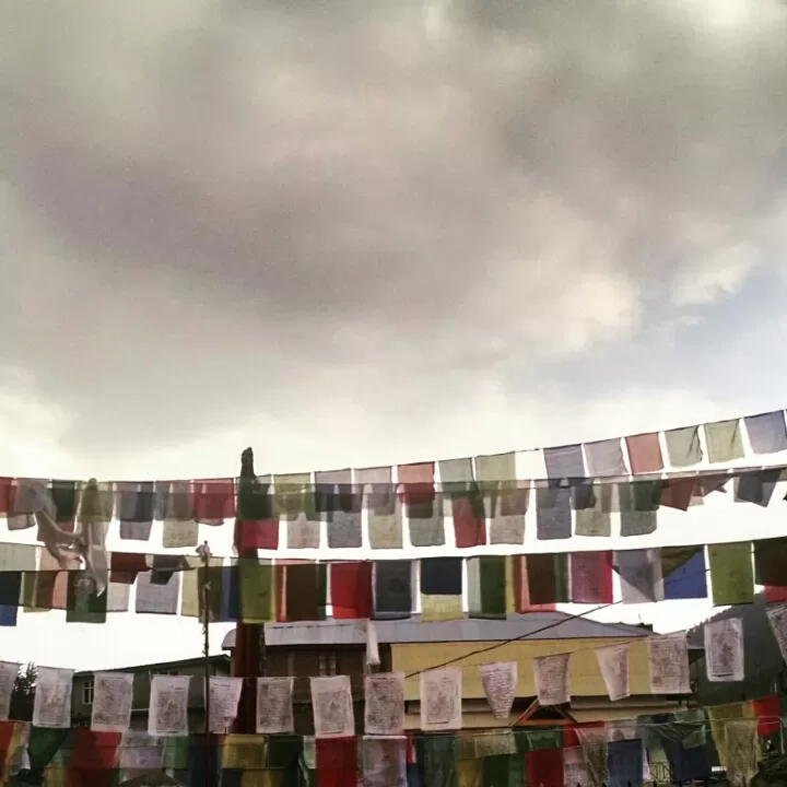 Photo of SiyalManali, Himachal Pradesh by Amruta Shroff