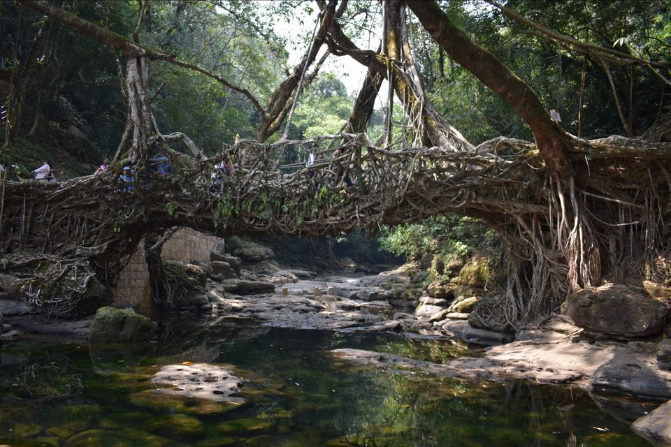 Photo of Mawlynnong, Meghalaya, India by shadesof_anmol