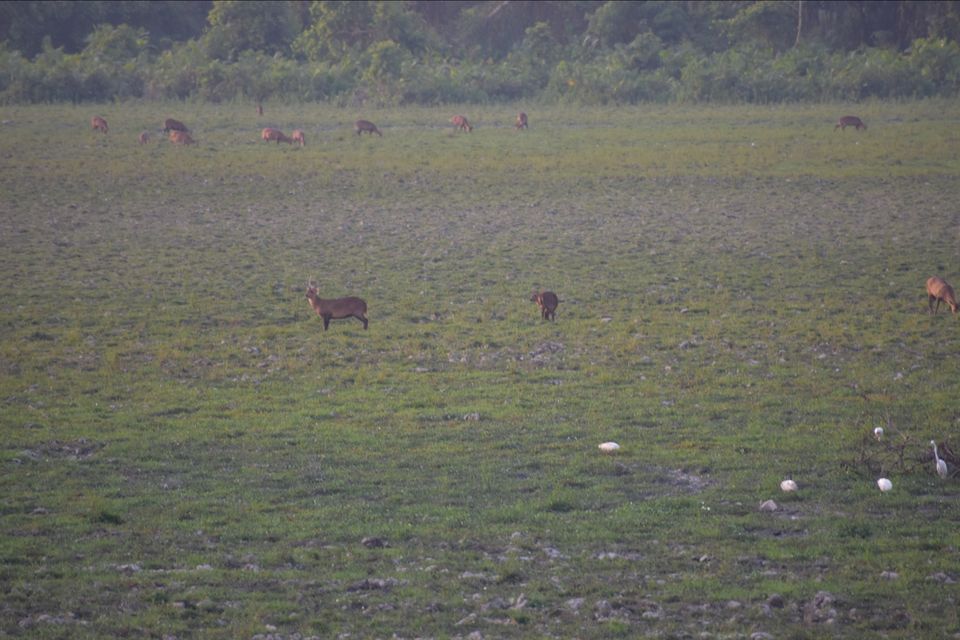 Photo of Shillong, Meghalaya, India by shadesof_anmol
