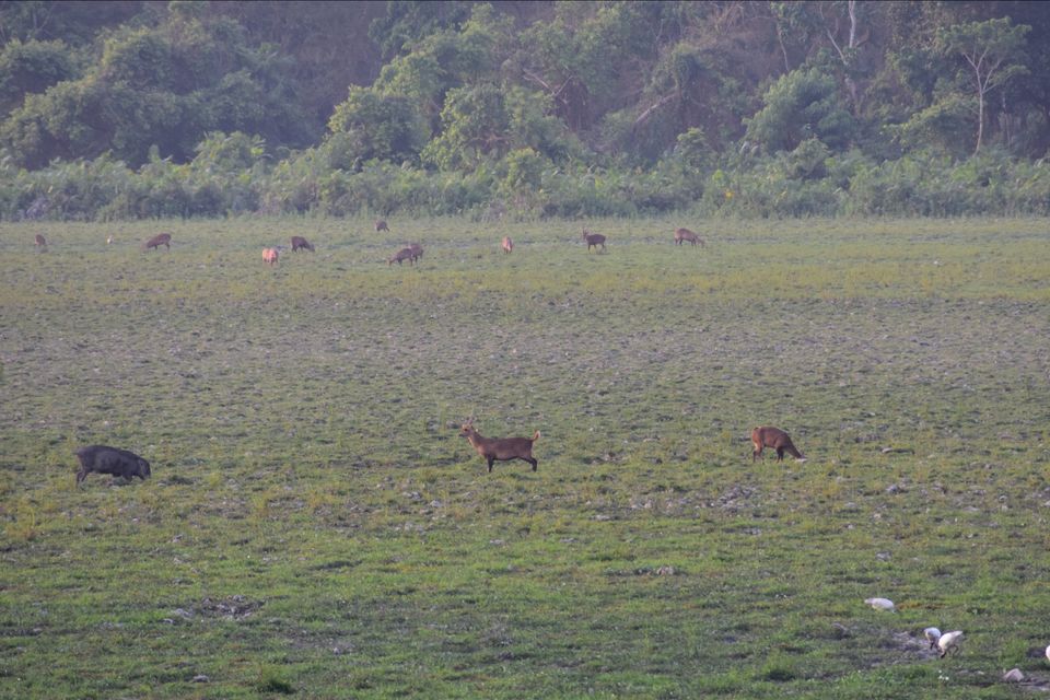 Photo of Shillong, Meghalaya, India by shadesof_anmol