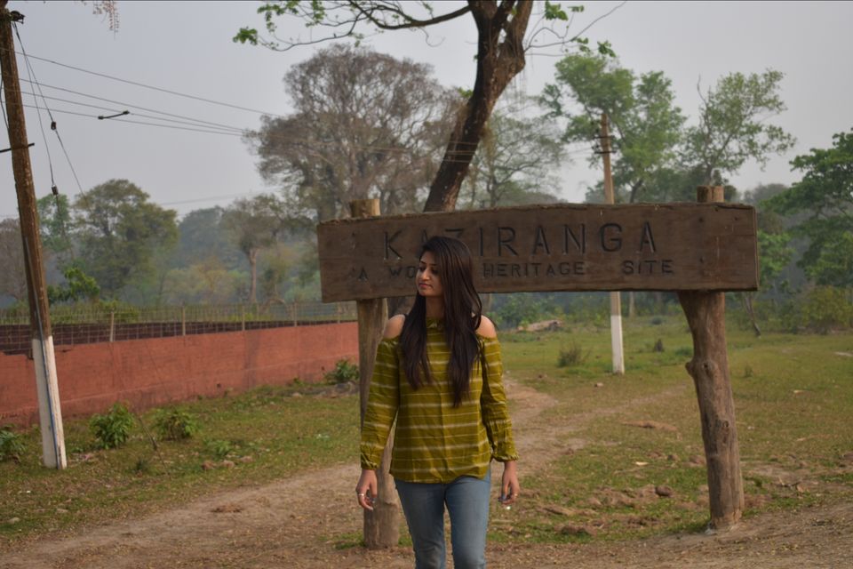 Photo of Nature Hunt Eco Camp Kaziranga, Golaghat, No.1 Kohora, Assam, India by shadesof_anmol