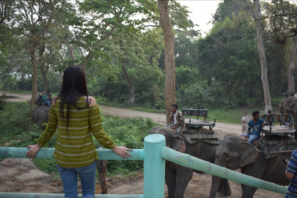 Photo of Nature Hunt Eco Camp Kaziranga, Golaghat, No.1 Kohora, Assam, India by shadesof_anmol