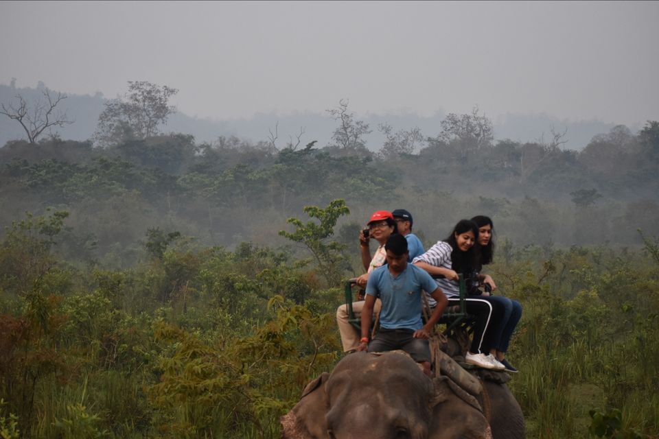 Photo of Nature Hunt Eco Camp Kaziranga, Golaghat, No.1 Kohora, Assam, India by shadesof_anmol