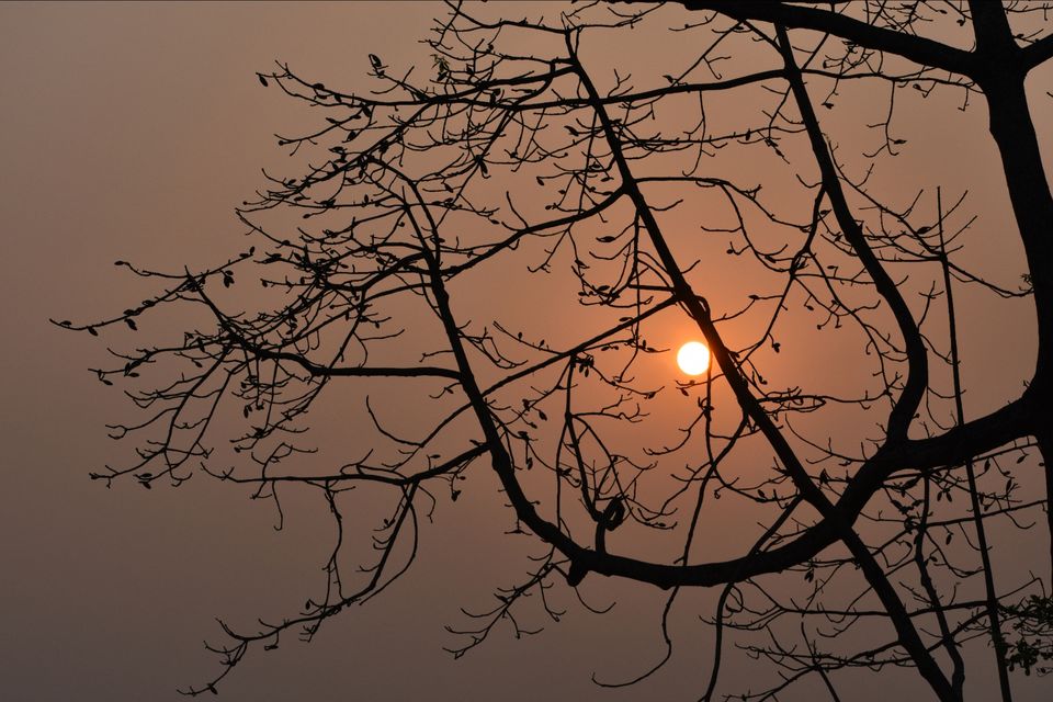 Photo of Nature Hunt Eco Camp Kaziranga, Golaghat, No.1 Kohora, Assam, India by shadesof_anmol