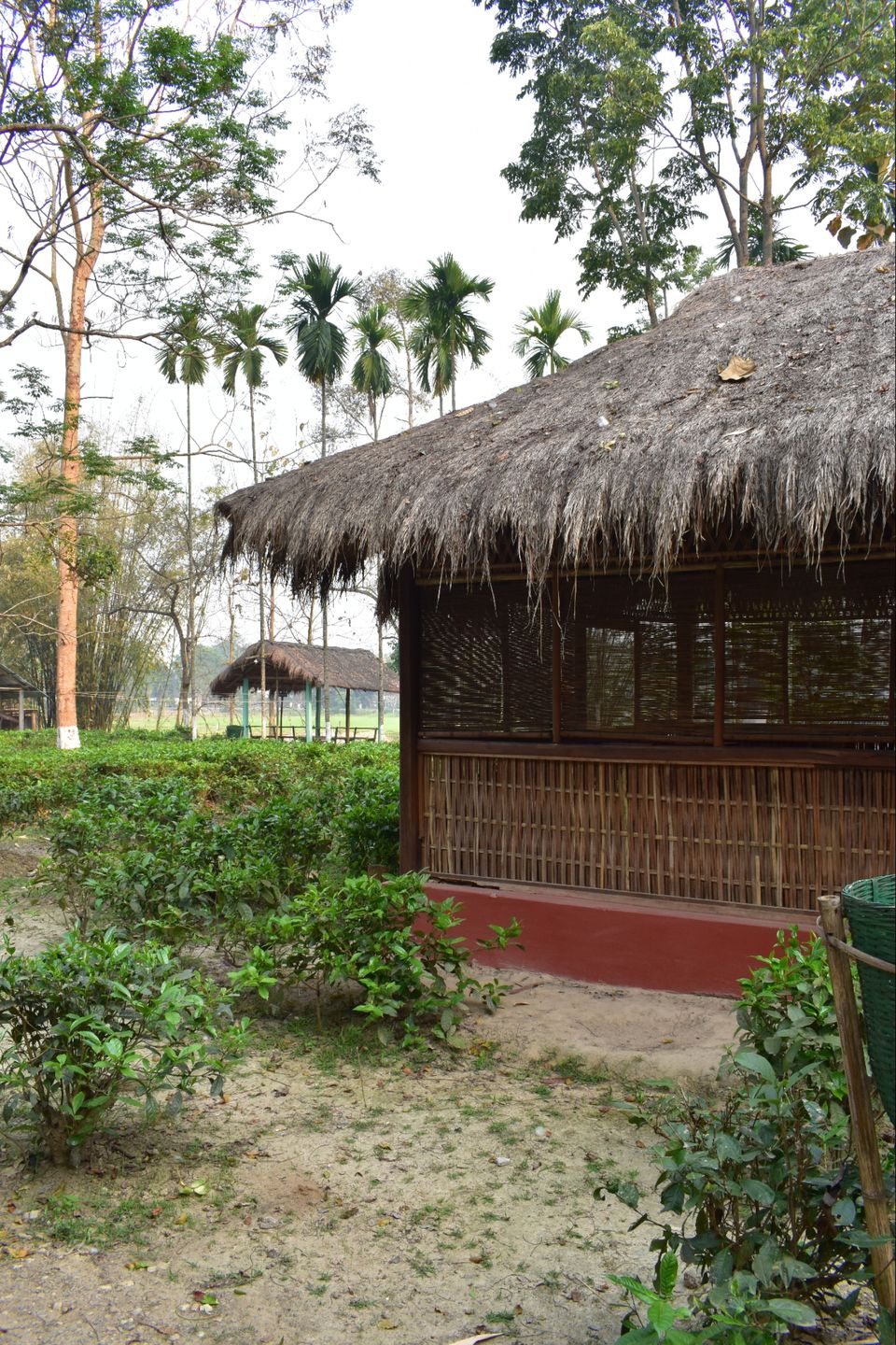 Photo of Nature Hunt Eco Camp Kaziranga, Golaghat, No.1 Kohora, Assam, India by shadesof_anmol