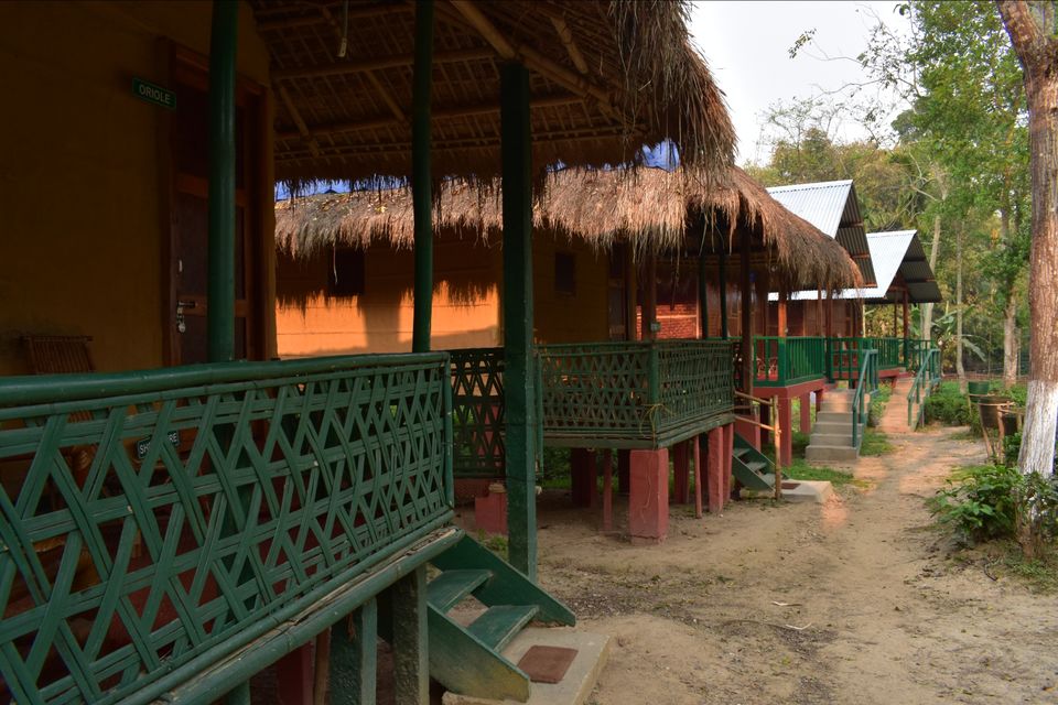 Photo of Nature Hunt Eco Camp Kaziranga, Golaghat, No.1 Kohora, Assam, India by shadesof_anmol
