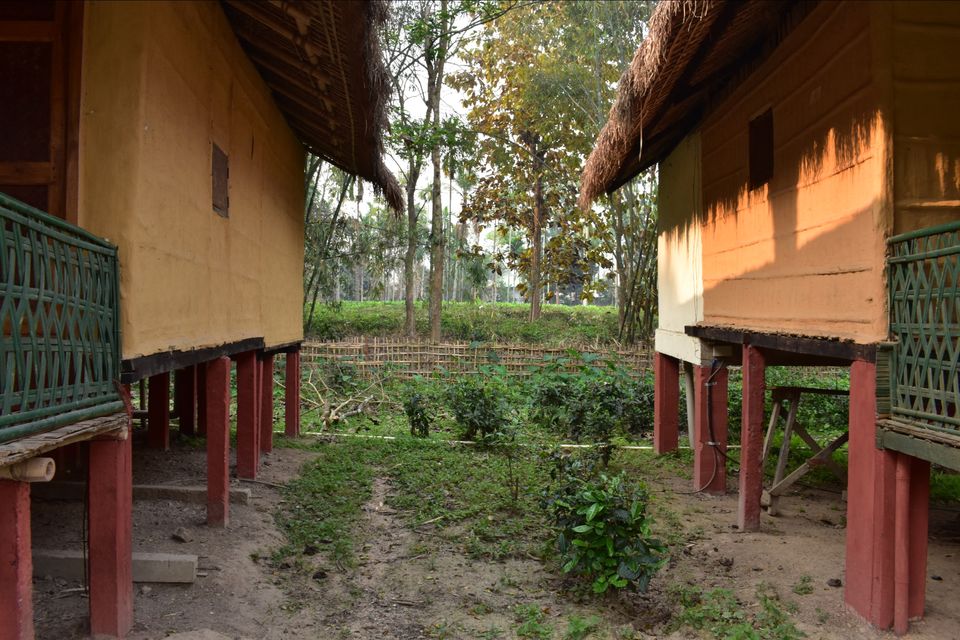 Photo of Nature Hunt Eco Camp Kaziranga, Golaghat, No.1 Kohora, Assam, India by shadesof_anmol