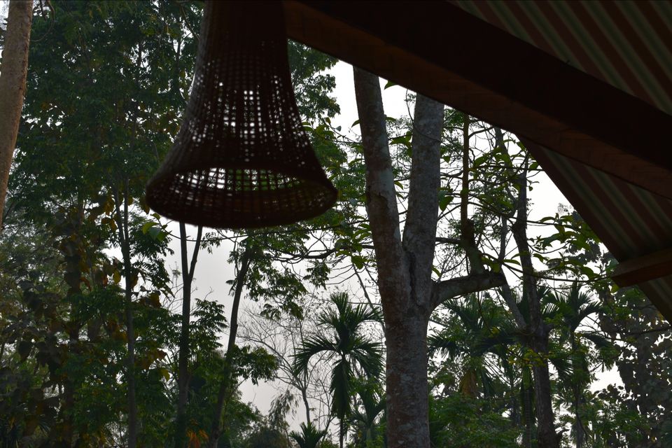 Photo of Nature Hunt Eco Camp Kaziranga, Golaghat, No.1 Kohora, Assam, India by shadesof_anmol