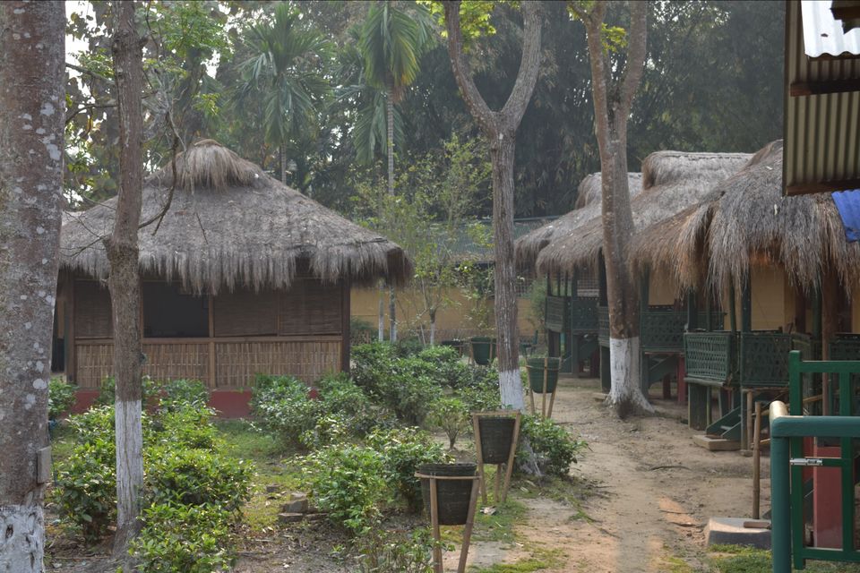 Photo of Nature Hunt Eco Camp Kaziranga, Golaghat, No.1 Kohora, Assam, India by shadesof_anmol