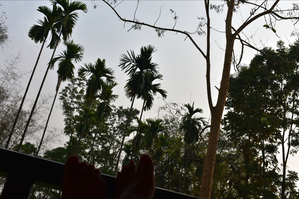 Photo of Nature Hunt Eco Camp Kaziranga, Golaghat, No.1 Kohora, Assam, India by shadesof_anmol