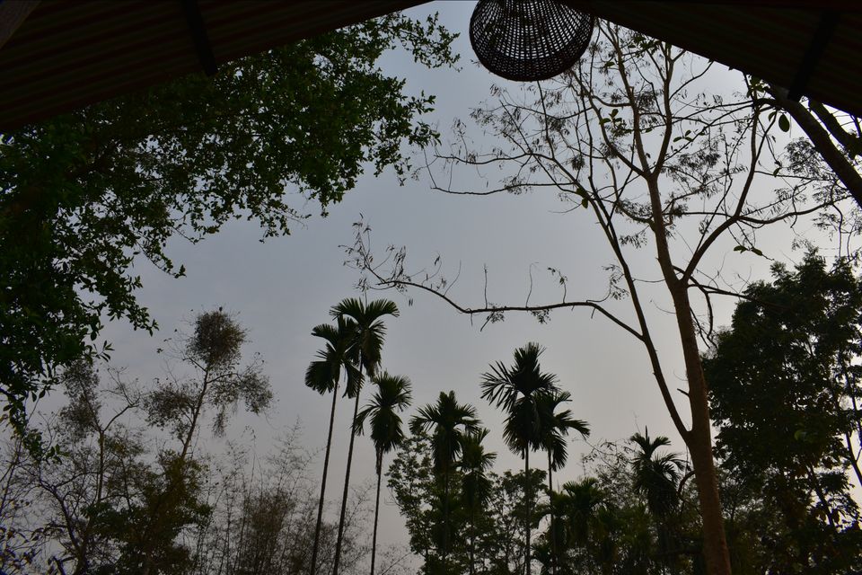 Photo of Nature Hunt Eco Camp Kaziranga, Golaghat, No.1 Kohora, Assam, India by shadesof_anmol