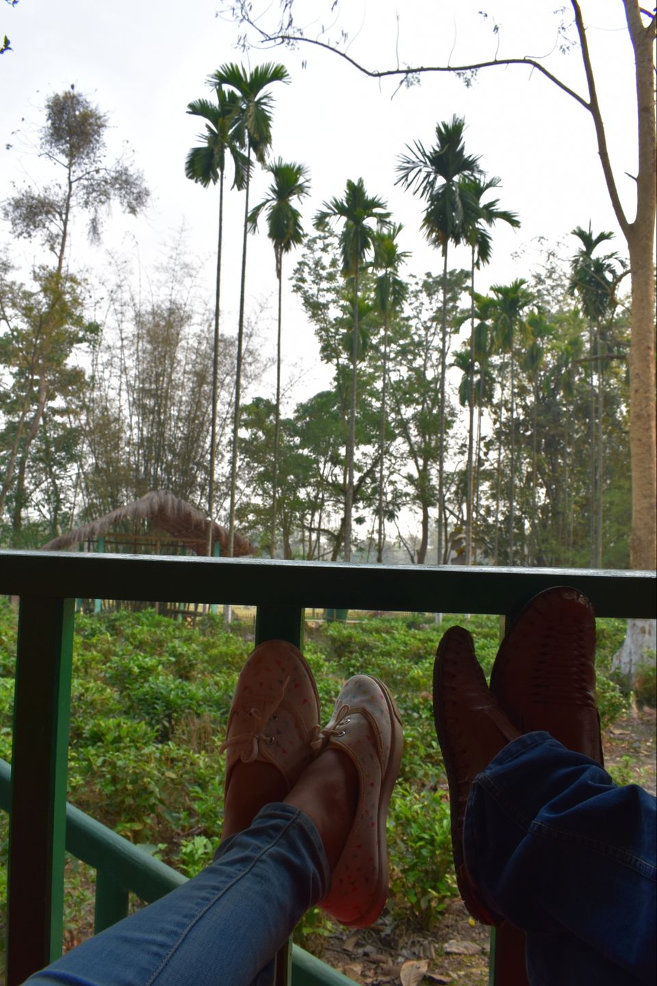 Photo of Nature Hunt Eco Camp Kaziranga, Golaghat, No.1 Kohora, Assam, India by shadesof_anmol