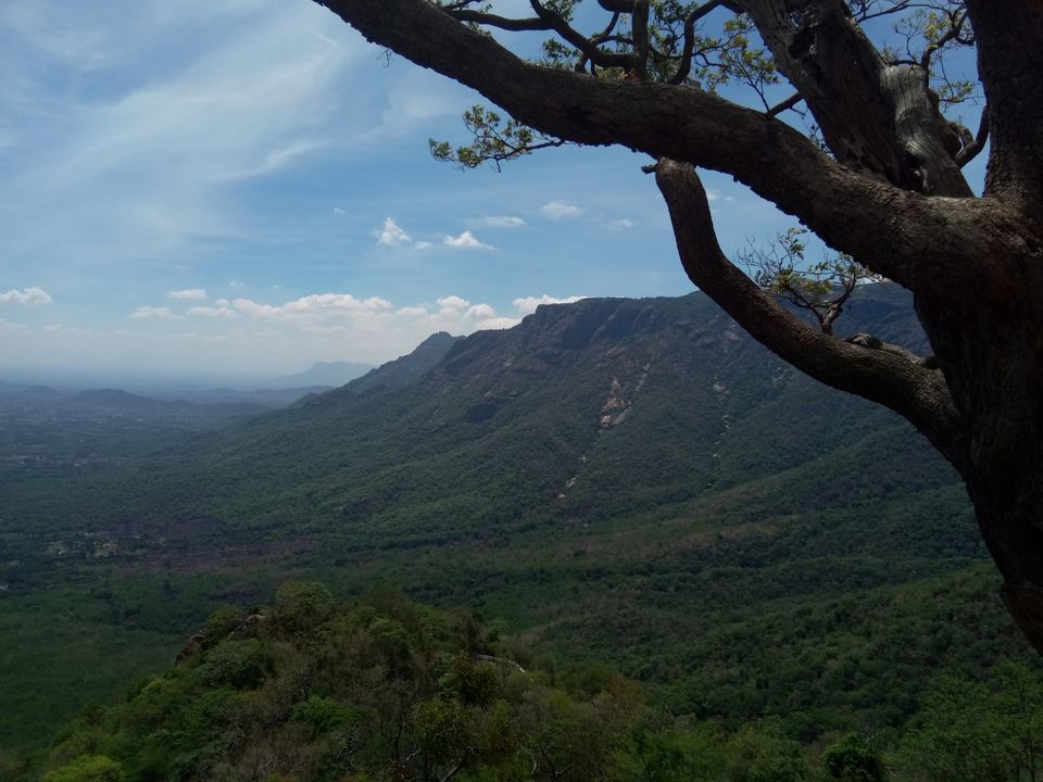 Photo of Kolli Hills Road, Bailnadu South R.F., Tamil Nadu, India by MjasTahair M