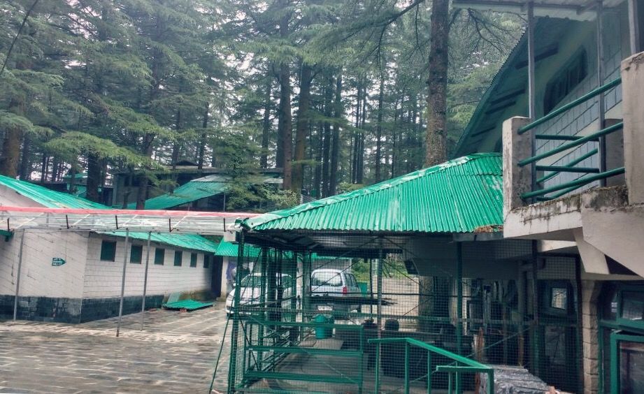 Photo of Dharamkot, Dharamshala, Himachal Pradesh, India by Nishant Tyagi