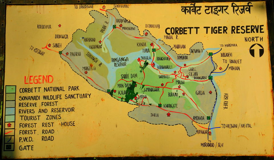 Photo of A Short Blog on Wildlife Places in Uttarakhand 6/28 by Nishant Tyagi