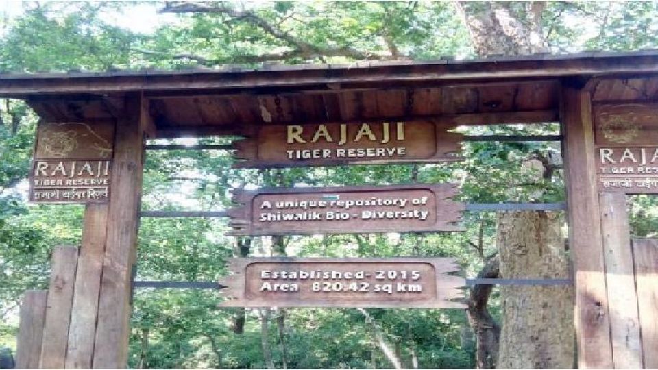 Photo of A Short Blog on Wildlife Places in Uttarakhand 11/28 by Nishant Tyagi