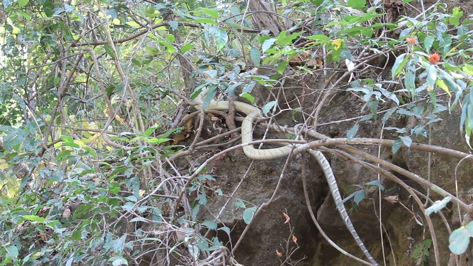 Photo of A Short Blog on Wildlife Places in Uttarakhand 13/28 by Nishant Tyagi