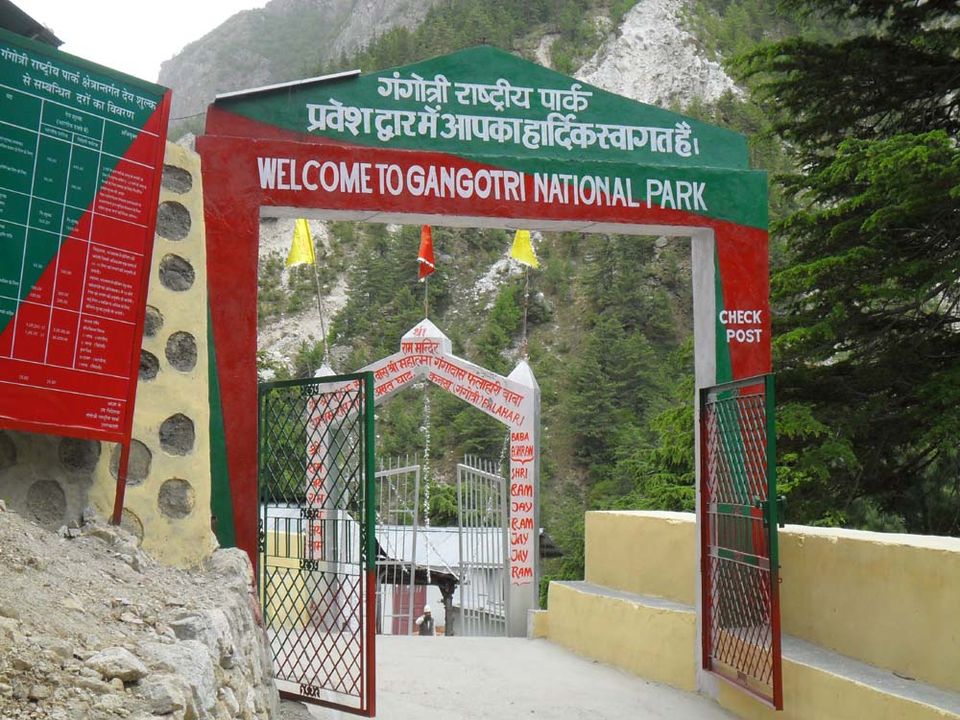 Photo of A Short Blog on Wildlife Places in Uttarakhand 16/28 by Nishant Tyagi