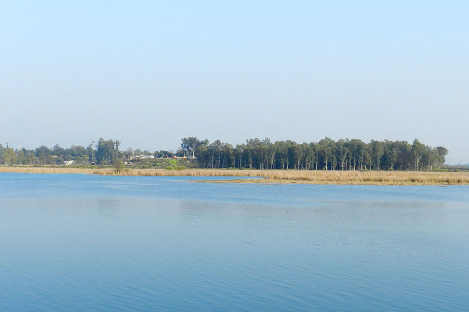 Photo of A Short Blog on Wildlife Places in Uttarakhand 19/28 by Nishant Tyagi