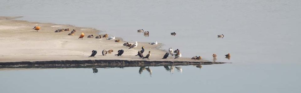 Photo of A Short Blog on Wildlife Places in Uttarakhand 20/28 by Nishant Tyagi