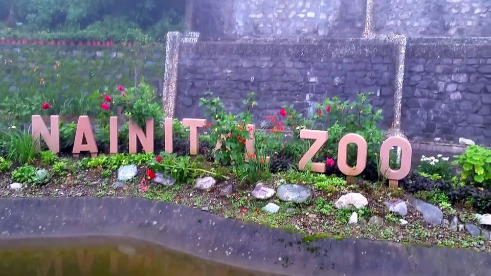 Photo of A Short Blog on Wildlife Places in Uttarakhand 23/28 by Nishant Tyagi