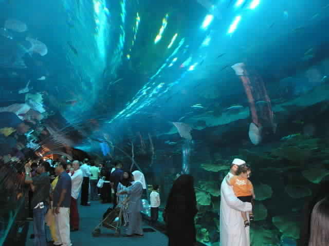 Photo of Abu Dhabi : A Placeof Luxary & Adventure" 15/17 by Nishant Tyagi