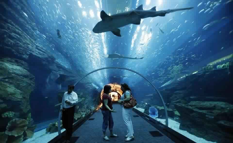 Photo of Abu Dhabi : A Placeof Luxary & Adventure" 16/17 by Nishant Tyagi