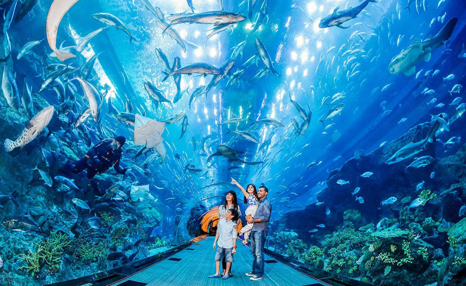 Photo of Abu Dhabi : A Placeof Luxary & Adventure" 17/17 by Nishant Tyagi
