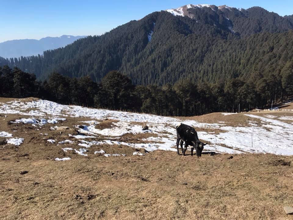 Photo of Tirthan valley(Winters) (7 days) by Kanishk Daima