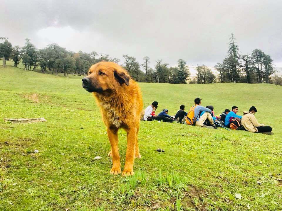 Photo of Bhrigu Lake Trek by Kanishk Daima