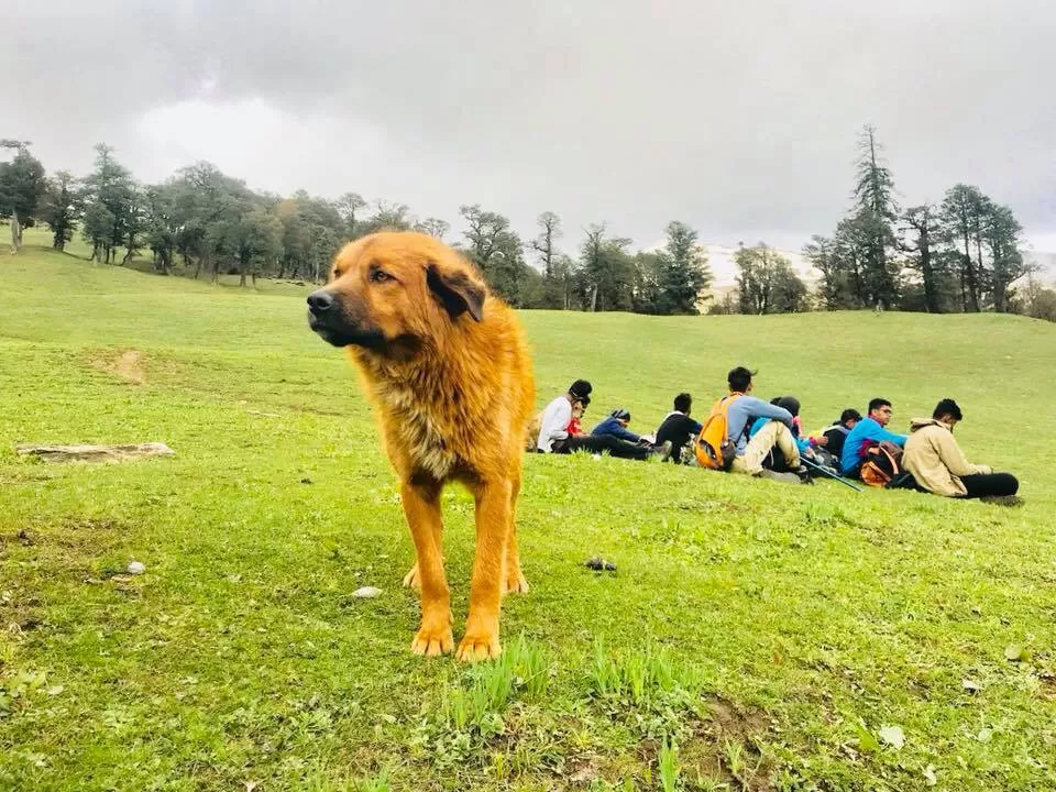 Photo of Bhrigu Lake Trek by Kanishk Daima