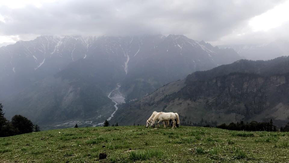 Photo of Bhrigu Lake Trek by Kanishk Daima