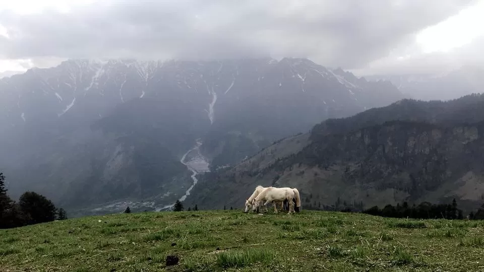 Photo of Bhrigu Lake Trek by Kanishk Daima