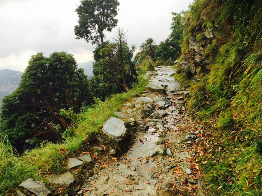 Photo of Triund Trek-Mcleodganj by Kanishk Daima