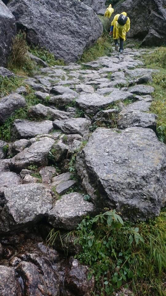 Photo of Triund Trek-Mcleodganj by Kanishk Daima