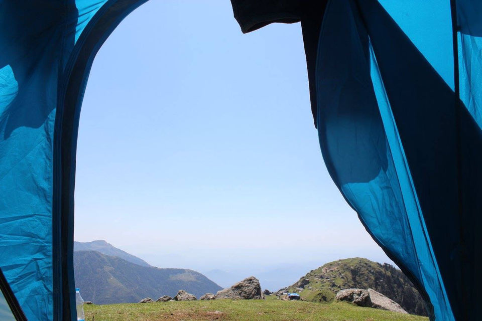 Photo of Triund Trek-Mcleodganj by Kanishk Daima