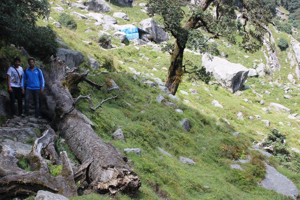 Photo of Triund Trek-Mcleodganj by Kanishk Daima